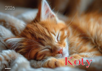 Kalendarz albumowy KA-1 Koty Avanti